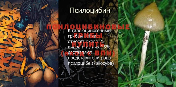 дмт Магадан