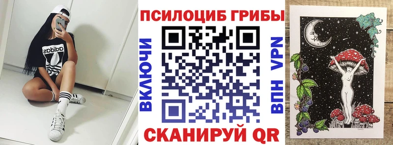 Псилоцибиновые грибы Magic Shrooms  Купить где  Сызрань 