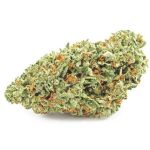 Шишки OG Kush  (Гидропоника, бошки) VHQ в Сызрани
